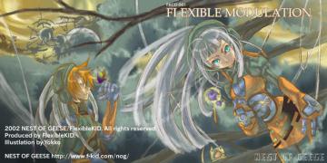 FKCD-001 FLEXIBLE MODULATION ジャケット